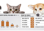 “20년 만기라더니 매년 재가입 부담”⋯ 펫보험, ‘평생 안심’은 아직 멀다 [펫보험의 역설]