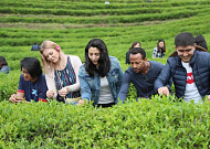 '말차로 세계를 잇다'...보성군 다향대축제 보러오세요