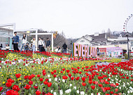 삼성이 만드는 ‘또 다른 메모리’…개장 50주년 에버랜드, 추억소환 오감만족 ‘봄의 축제’[가보니]