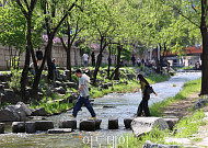 '벌써 여름인가' [포토]