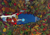 전북도 '숲'...탄소흡수원 가꾼다