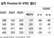 NH “DB손해보험, 배당 매력에도 1분기 부진…목표가↓”