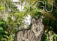 푸바오, 무뎅, 펀치, 늑구…동물원 스타가 탄생하는 이유 [이슈크래커]