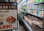 계란 한 판 7500원대 고공행진…정부, 미국·태국산 2112만개 더 푼다