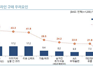 “K-소비재, 인도 중산층에서 차세대 성장 동력 찾아야”