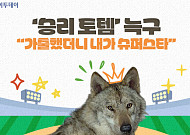 '승리 토템' 늑구…"가출했더니 내가 슈퍼스타" [요즘, 이거]