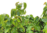 중동발 생산비 압박에 이상기온까지…농업계 덮친 ‘이중고’