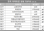 [아파트값 상승 톱10] 서울 강남구 ‘청담자이’ 등