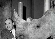 ‘털 없는 원숭이’ 저자, 동물학자 데즈먼드 모리스 별세…향년 98세