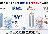 개미들이 사랑한 '삼성전자·SK하이닉스'…주가 떨어져도 '싱글벙글'인 이유는