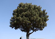 [내일 날씨] 내륙 낮밤 일교차 20도 안팎⋯주말까지 맑음