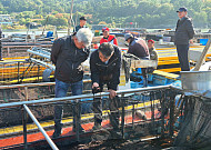 '역대 최고' 2026년산 물김...땅끝해남군 1545억 위판