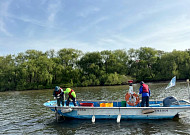 "물고기 21종서 69종으로 늘었다"… 서울시, 한강 봄맞이 어종조사 실시