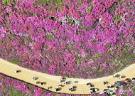 주말 한낮 25도까지 오른다… 다음 주엔 평년 기온 되찾고 봄비