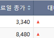 [급등락주 짚어보기] 한화그룹 유통 독립·K-뷰티 열풍…한화갤러리아·뷰티스킨 등 '上'