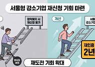 서울시, 불필요 행정 규제 대수술…강소기업 취소기업 2년 뒤 재신청 허용