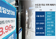 강남은 '현금'·외곽은 '영끌'…대출 규제에 매수 흐름 갈렸다