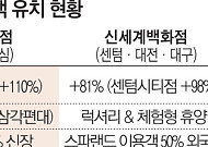 외국인 ‘N차 방한’...지역 백화점 방긋[관광·상권 흔든 K뷰티 파워(上)]
