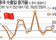 AI 칩 흡입하는 중국⋯올해 수입 증가율, 5년 만에 수출 웃돌 전망