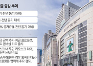 외국인들, K-백화점서 지갑 활짝 열었다...백화점, 고환율 특수 ‘톡톡’