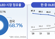 韓 OLED, 10년 만에 시장점유율 반등…고부가가치 분야 주도 전망
