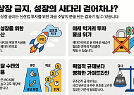 무조건 금지가 '정의'인가…"'성장 사다리' 걷어차는 획일적 금지 경계해야"[중복상장 금지, 약일까?독일까?③]