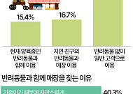 음식점 반려동물 동반 출입 허용됐지만…긍정 인식은 '부족' [데이터클립]