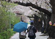 [내일 날씨] '낮 최고 23도' 일교차 커…남부지방 봄비