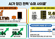 AI발 전력난 우려에 전력株 '급속충전'…전력 ETF 한 달 새 79%↑