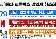 법원 “메타 법인세 취소”…글로벌 플랫폼 과세 흔들