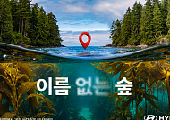 현대차, 바다숲 지키는 ‘이름 없는 숲’ 캠페인 전개