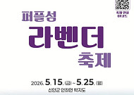 신안군, 퍼플섬 라벤더 축제 15일 개막