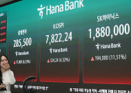 삼성전자·SK하이닉스 지금이라도?⋯"ETF로 나눠서 들어가라"