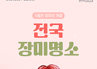 [카드뉴스] 가족 나들이 실패 없는 '전국 장미 축제' 6