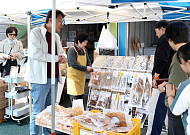 365일 '반값 여행'...강진군 선도도시 된다