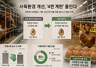 계란값 잡아야 하는데 닭장도 넓혀야…‘4번 계란’ 퇴출 딜레마