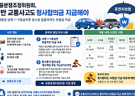 금감원 “상해 1~3등급 교통사고 형사합의금, 운전자보험서 지급해야”