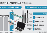 'K-뷰티의 힘'...中企 온라인 수출 3억달러 '역대 최고치'