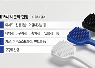 구강케어 상품, 뷰티 카테고리로 진화...다양화ㆍ전문화 속도전[판 커지는 K웰니스]