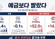 “예금 보다 증시로”…8000 시대의 머니무브 [돈의 질서가 바뀐다 上-①]