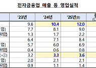 전자금융업 매출 12조원 돌파⋯금감원 “건전경영 기반 마련”