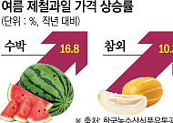 수박·참외 여름과일 값 ‘들썩’...유통가, 물량 확보 나섰다