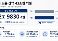 카드론 잔액 43조원 턱밑 유지⋯당국 관리에 증가세는 꺾여