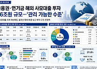 조용히 커진 해외사모대출…보험·연기금에 56조 몰렸다