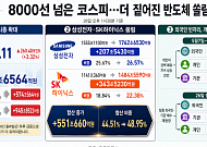 8000선 넘은 코스피, 달라진 시총 지도…개인이 외국인 빈자리 메웠다