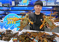롯데마트, 캐나다산 활랍스터 15만 마리 반값 판매
