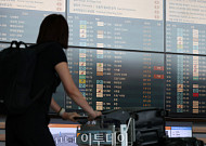 직구 인기 식었나⋯해외여행 발길에도 1분기 해외 카드 사용액 '주춤'