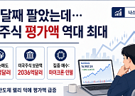 두 달째 팔았는데 美주식 평가액 역대 최대…서학개미가 담은 종목은