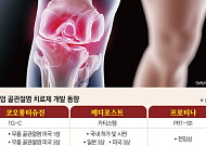 미충족 수요 큰 ‘골관절염’…해외에서 잘 나가는 국산 신약들[K-제약 글로벌 확장②]