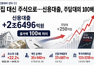 집 대신 주식으로…신용대출, 주담대의 100배 [빚내서 산다]